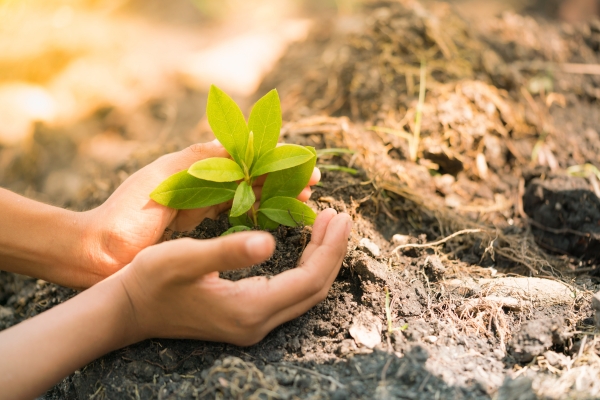 Educação Ambiental: A Chave para um Futuro Sustentável