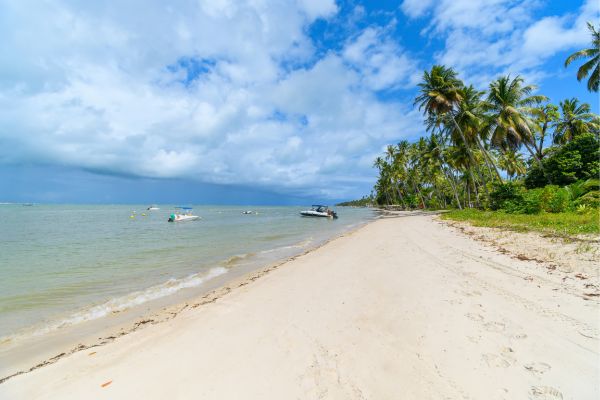 Praia dos Carneiros